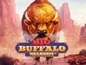 game logo by Skywind Group on rollxo-casino.ca