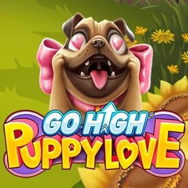game logo by RubyPlay on rollxo-casino.ca