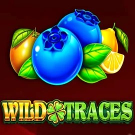 Wild Traces online slot from Amusnet Interactive – play at rollxo-casino.ca
